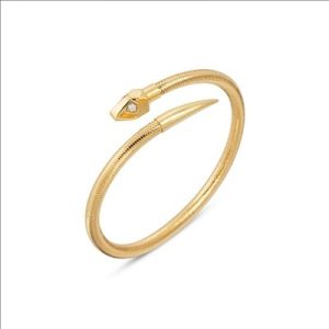Ponte Vecchio Slangenkoparmband
